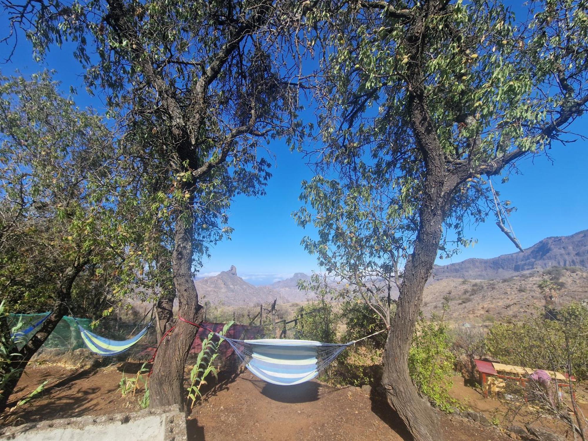 Finca La Isa By Rose Casas Rural Tejeda  Exterior photo
